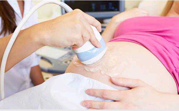 广州双胞胎代孕网价格|试管婴儿人卵泡的体外培养