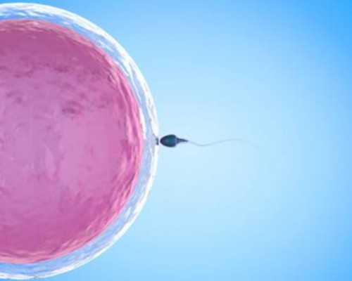 广州可代孕的志愿者|美国试管婴儿专家如何促排卵才能获得优质卵子？