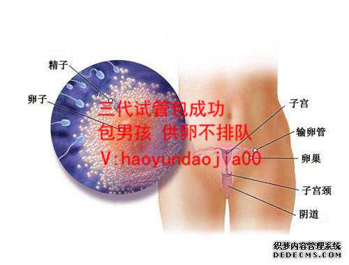 供卵要多长时间_广州生殖中心供卵等多长时间_得了输卵管炎还可以怀孕吗？