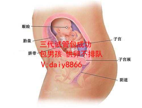 南京包性别_45岁以上大龄泰国试管婴儿对子宫内膜有什么要求？