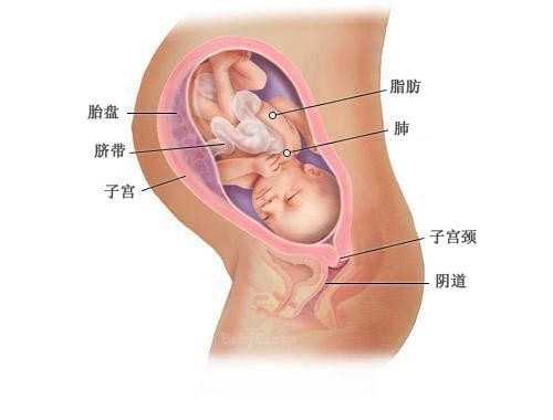 郑州代孕咨询_济南医院做试管婴儿费用大约多少？价格受哪些因素影响？