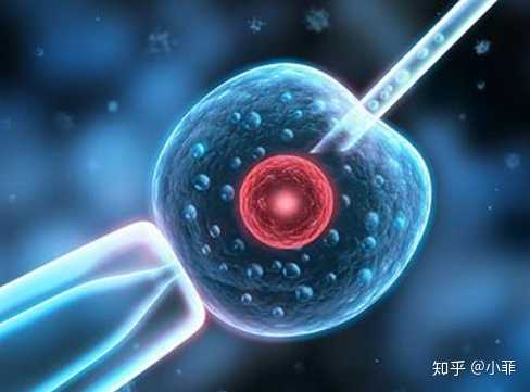 单身女人四十三岁，广州那家医院可以做试,患者：“第三代试管婴儿多少钱？