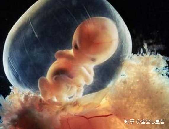 广州助孕在线咨询医生,2023年广州十大试管婴儿医院排名,在广州排名最好的医院